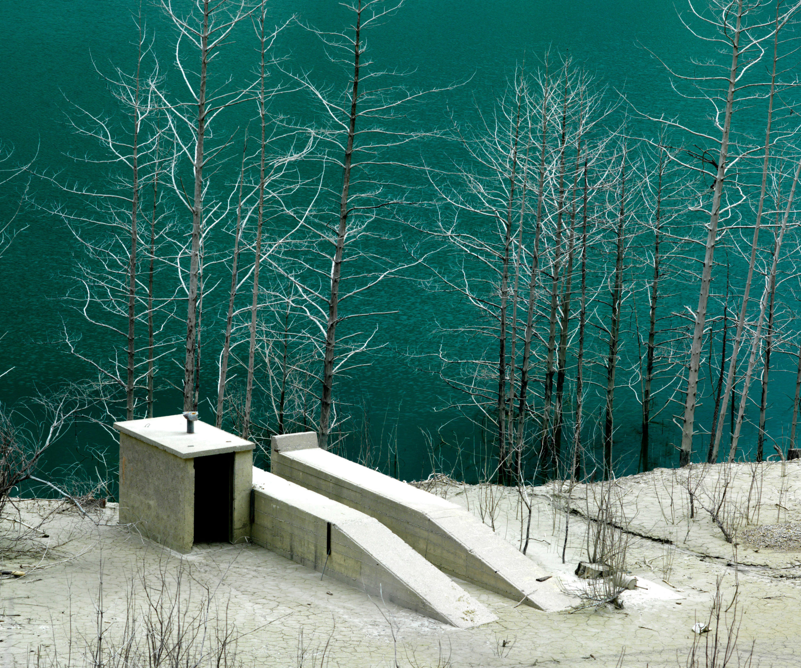 Third Nature - Format Festival